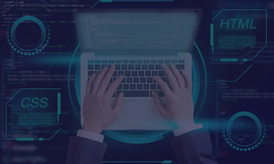 Front-End Developer